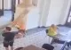 Copilul rănit de o coloană decorativă în holul Primăriei Capitalei a fost externat din spital - Care e starea lui