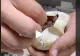 VIDEO – Părea un simplu ou, însă când i-a spart coajă a ieșit din el ceva extrem de periculos