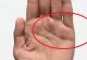 Nu toată lumea are această linie în palmă! Ce spune aceasta despre norocul tău