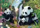 Iluzia optică perfectă - găsește 15 urși panda în 30 de secunde! Testul pe care 95% din oameni îl pică