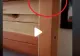 VIDEO – Ce au găsit părinții în capul patului din camera fiicei – La un pas de leșin când și-au dat seama la ce folosesc
