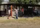Scandal la Calafat. De ce l-a mutat primarul pe viceprimar într-un adăpost de câini
