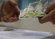 FACIAS denunță un ABUZ în școlile din România: Părinții fără venituri, obligați să dea declarații la notar pentru tichetele de 500 de lei