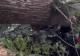 ALERTĂ în Capitală! Copac uriaș, PRĂBUȘIT peste mașini, în apropierea unui loc de joacă