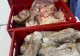 Controale de amploare în țară, amenzi de peste 900.000 de lei. Ce nereguli grave au găsit comisarii ANPC – FOTO&VIDEO