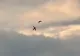 Momentul în care două avioane se ciocnesc în aer și se prăbușesc. Piloții au murit pe loc - VIDEO
