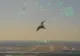 Cum s-a prăbușit un avion militar al Marinei SUA în Texas după ce a fost lovit de o pasăre - Momentul impactului