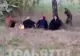 Recruții ruși, nevoiți să facă focul în pădure să nu înghețe de frig! Mobilizarea parțială solicitată de Putin se desfășoară HAOTIC - VIDEO 
