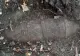 Pericol într-o pădure din Cluj: O bombă din anii 40, găsită întâmplător de doi turiști. Au intervenit pirotehniștii - FOTO