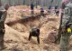 Sute de cadavre descoperite în Ucraina. Preşedinţia UE cere crearea unui tribunal pentru crime de război