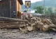 Percheziții la trei firme de exploatarea lemnului din Bistria-Năsăud! Trei administratori, reținuți - FOTO