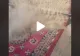 VIDEO – Uluitor cât praf poate exista într-un simplu covor, deși la prima vedere nu se observă nimic