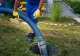Doi angajați ai unei primării din Vaslui au căzut într-o fosă septică. Persoanele sunt în stare de inconștiență