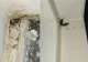 Condiții mizere la Spitalul Dorohoi. Imagini șocante, filmate de o mămică internată cu copilul - VIDEO