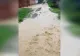 Cod roșu de inundații: POTOP în Timiș după ploile torențiale - Apa a pătruns în casele oamenilor din Fârdea - VIDEO
