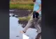 VIDEO – Un bărbat a vrut să sară peste o baltă dar s-a trezit înghițit de ape – Imagini terifiante