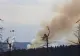 Incendiu de pădure în Germania: zeci de hectare arse - 5 elicoptere şi peste 300 de pompieri se luptă cu flăcările - VIDEO
