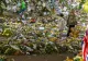 Florile depuse de britanici pentru Regina Elisabeta a II-a, transformate în compost pentru replantări în parcurile londoneze - FOTO