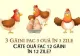 Problema de clasa I care dă bătăi de cap adulților. Câte ouă fac 12 găini în 12 zile?