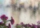 Vremea 23 septembrie. Temperaturi scăzute în toată România, ploi, lapoviță și ninsoare - Unde este cel mai frig