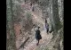 O turistă accidentată la gleznă în zona Rimetea, a solicitat ajutorul salvamontiștilor. Intervenție contracronometru