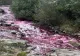 Fenomen mai puțin obișnuit pe un râu din județul Bistrița Năsăud. Apa s-a colorat în ROȘU (video)