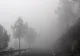 Alertă meteo. Cod galben de ceață: cele mai afectate județe. Vizibilitatea va fi sub 50 de metri