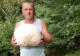 Ciuperci gigant, de 3 kg, în curtea unui bărbat din jud. Dâmbovița. Uluitor ce a făcut cu "uriașii" 