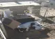 Cățelușă cu 4 pui ținută legată într-un cimitir din Brăila. Ce riscă proprietarul animalelor
