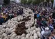 Fiesta transhumanței. Oile au ocupat străzile Madridului (VIDEO)