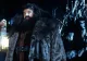 Doliu uriaș în lumea filmului. A murit un actor legendar din seria Harry Potter