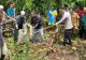 Femeie înghițită de vie de un piton, pe o plantație din Indonezia