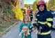 Mai mulți căței căzuți într-un canal, salvați de către pompieri și adoptați imediat