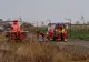 Accident teribil în Constanța, după ce o mașină s-a izbit de un copac: O femeie a murit, un bărbat, în stare gravă, preluat cu elicopterul SMURD