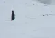 Turist costumat în Dracula, găsit de salvamontiști în zăpadă. Bărbatul s-a rătăcit pe munte - VIDEO