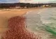 Mii de australieni au pozat nud, pe o plajă din Sydney, pentru a atrage atenția asupra cancerului de piele. Imaginile au devenit virale