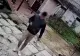 Un hoț de doar 14 ani a spart 8 locuințe, s-a pozat în hainele victimelor și cu banii furați! Paguba produsă este uriașă - VIDEO