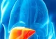 Primele semne care îţi arată că ficatul tău nu mai funcţionează. Mergi de urgenţă de medic