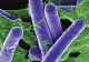Un nou caz de botulism în România: Un bărbat de 68 de ani din Slatina, la Terapie Intensivă - De la ce alimente s-a infectat