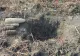 Proiectile explozive, găsite pe şantierul autostrăzii A7. Pirotehniștii au intervenit de urgență