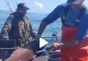 VIDEO – A despicat peștele și a găsit ceva incredibil în burta sa. Se afla acolo de ani de zile