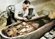 A avut Tutankhamon tehnologie extraterestră? Descoperirea incredibilă a experţilor