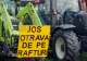 Protest în Satu Mare. Zeci de fermieri, nemulţumiţi de subvenţii şi produsele din marile magazine - FOTO