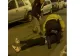 Teroare într-un bloc din Timișoara - Un interlop scandalagiu a băgat spaima în oameni - De la ce a pornit totul
