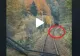 VIDEO – Mecanicul locomotivei a filmat drumul, din cabină, pe Valea Prahovei – Surpriză, ce i-a apărut brusc în cale