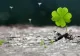 Horoscop 28 noiembrie. Zodia care stă pe un munte de bani. Se bucură de aprecierea șefilor