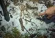 Turistul rătăcit pe munte a doua zi de Crăciun a refuzat să coopereze cu salvamontiștii: "Ne-a informat că este bine și nu mai are nevoie de ajutor"