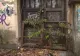 Rușine națională! Cum arată acum casa lui I.C. Brătianu, premierul Marii Unirii: Imagini halucinante cu clădirea-monument - VIDEO