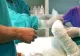 Bărbat transportat la spital cu arsuri la mâini și față! Un incendiu i-a mistuit locuința