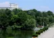 Bucureștiul are, de azi, un ghid pentru managementul spațiilor verzi